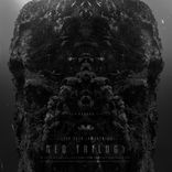 Portada para "The seer / Awakening"