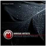 Artwork voor "Mistique Collection 012"