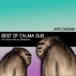 Artwork voor "Best of Calma Dub"