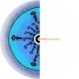 Artwork for "Extraterrestrial Reminiscences"