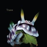 Artwork for "Euphoria and Illusions"