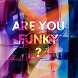Artwork voor "Are You Funky ?"
