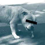 Artwork voor "Trappin'"