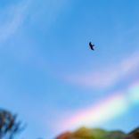 Explore in Popularly