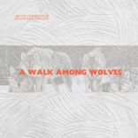 Artwork voor "A Walk Among Wolves"