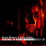 Revenge In Night District