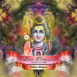 Different Vibrations