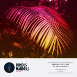 Artwork for "Mandrill Cuts 028"
