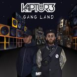 Artwork voor "Gang Land"