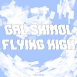 Artwork for "Flying High"