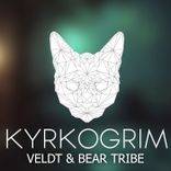 Portada para "Kyrkogrim"