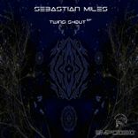 Portada para "Twins Shout"