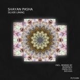 Artwork for "Silver Lining"