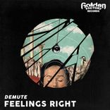 Artwork for "Feelings Right"