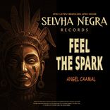 Artwork voor "Feel The Spark"