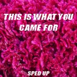 This Is What You Came For