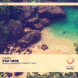 Artwork für "Stay Here"