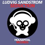 Artwork voor "Seduction"