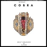 Artwork voor "Cobra"