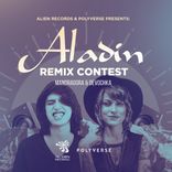 Artwork voor "Aladin Remixes"