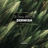Artwork for "Derwish"