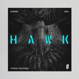 Artwork for "Hawk"