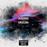 Artwork for "Aracari"