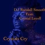 Artwork for "Crystal's Cry (Smooths Deepsoulstripped Vocal)"