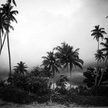 Dreser Pink (Original Mix)