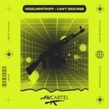 Artwork for "Can't Describe"