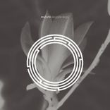 First Bite of The Cherry