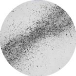 Sun in Your Eyes Forever II