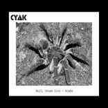 Artwork for "Araña"