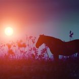 Artwork for "Keep Going"