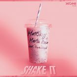 Portada para "Shake It"