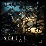 Artwork for "CHERCH: Select Vol1"