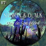 Portada para "Olas de San Pedro"