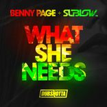 Artwork for "What She Needs"