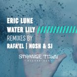 Artwork for "Water Lily"