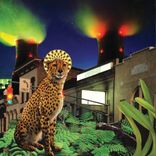 Artwork for "Slow Trip Home"