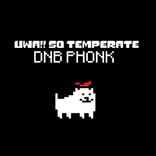 Portada para "Uwa!! So Temperate DNB PHONK"