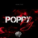 Artwork voor "Poppy Fly"