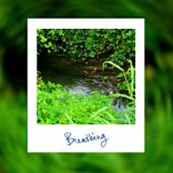 Artwork für "Breathing"