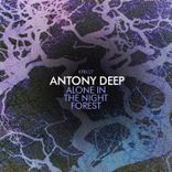 Artwork for "Alone in the Night Forest"