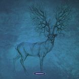 Space-Time Continuum