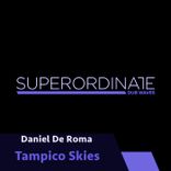 Portada para "Tampico Skies"