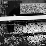 Artwork for "What Is Left"