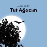 Artwork for "Tut Ağacım"