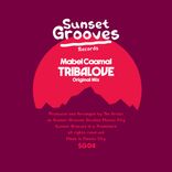 Artwork für "Tribalove"