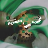Artwork für "Thought I Was Gone"
